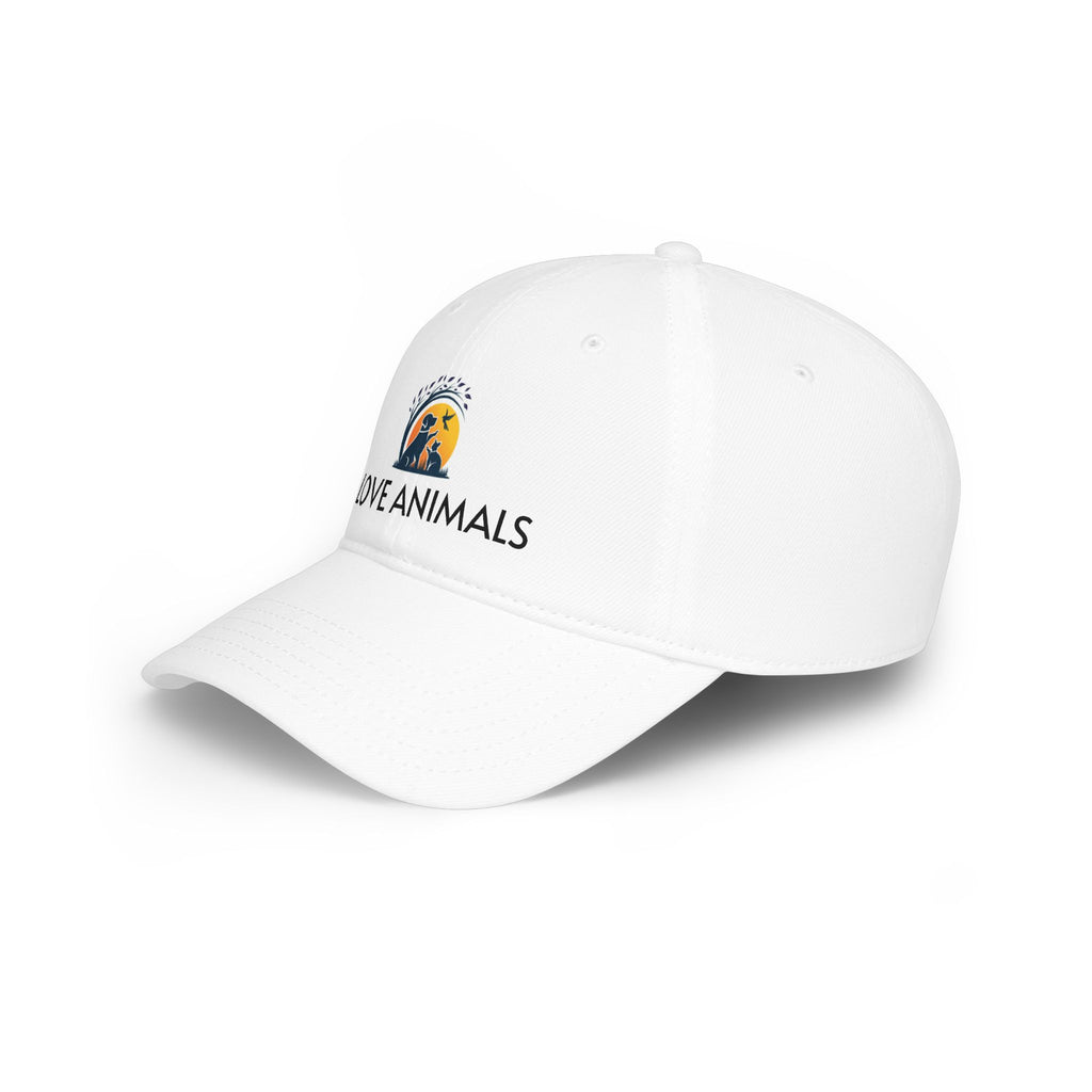 Low Profile Baseball Cap