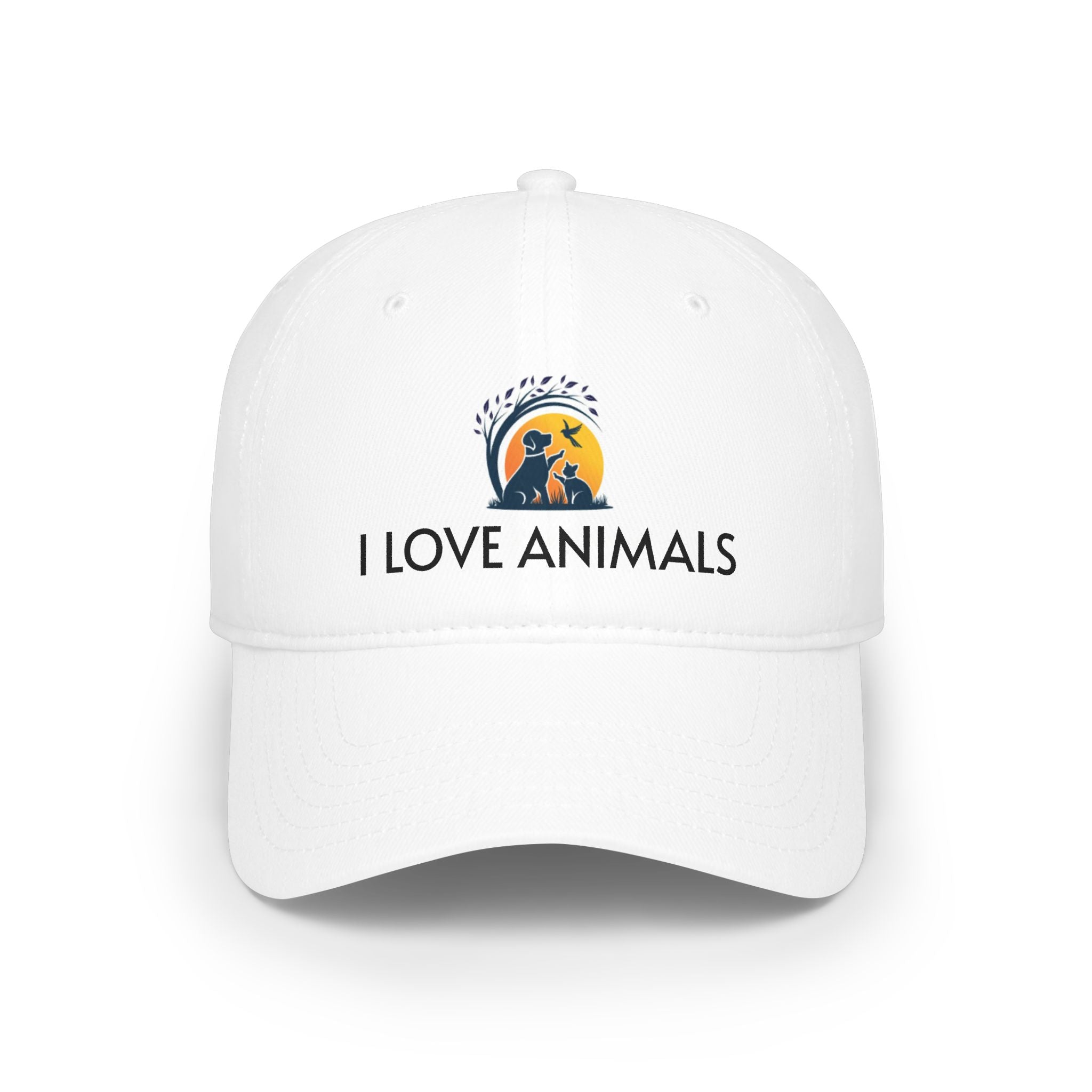 Low Profile Baseball Cap